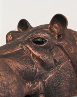 The Savannah the Hippo Wall Sculpture Showing a Close up of one of the Eyes