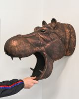 The Savannah the Hippo Wall Sculpture With Hand in Shot for Scale