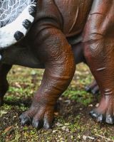 The Sentinel the Triceratops Garden Sculpture Showing a Close up of the Feet