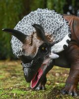The Sentinel the Triceratops Garden Sculpture Showing a Close up of the Head and Beak