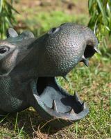 The Small Zambezi Submerged Hippo Garden Sculpture Showing a Close up of the Open Mouth