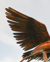 The Soaring Heron Verdigris Copper Weathervane Showing the Detailed Wings