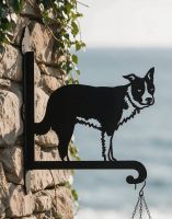 The Steel Border Collie Hanging Basket Bracket on a Coastal Cottage Wall in the Sun - Digital Illustration