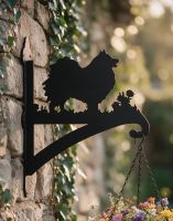 The Steel Pomeranian Dog Hanging Basket Bracket on an Ivy Covered Garden Wall - Digital Illustration