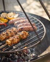 The The Hanging Tripod Swing Grill Showing a Close up of the Arm Hooks and Grill - Digital Illustration