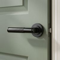 The The Lincoln Sleek Black Textured Unsprung Lever Door Handle on Rose on a Sage Green Door in a Home Interior Setting - Digital Illustration
