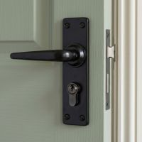 The Traditional Smooth Black Lever Euro Lock Door Handle Set Mounted onto a Sage Green Door Close up - Digital Illustration