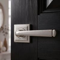The Valen Tapered Sprung Handle Set on a Square Rose in Satin Stainless Steel on an Open Timber Door in Black in a Country Cottage - Digital Illustration