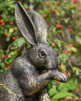 The Whiskers the Grooming Hare Garden Statue Showing a Close up of the Head