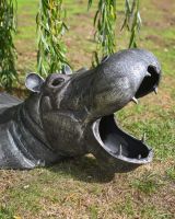 The Zambezi Submerged Hippo Garden Sculpture Showing a Close up of the Open Mouth