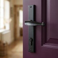 The "Bancroft" Black Beeswax Slimline Lever Door Handle Fitted onto a Purple Panneled Door as Part of a Home Interior - Digital Illustration