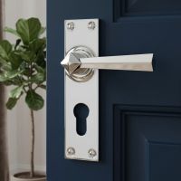 The "Fleming House" Bright Chrome Lever Euro Door Handle on a Blue Door in a Modern Home - Digital Illustration 