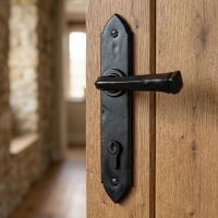 The "Orelia" Black Gothic Lever Espagnolette Lock Set on a Wooden Door in a Sun Lit Entrance Hall - Digital Illustration
