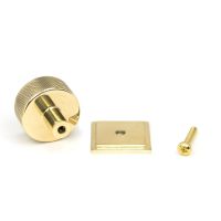 The 32mm Knurled Cabinet Knob on a Square Rose in Polished Brass Displayed in Separate Sections with Fitting Bolt The 32mm Knurled Cabinet Knob on a Square Rose in Polished Brass Displayed in Separate Sections with Fitting Bolt