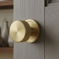 The 63mm Satin Brass "Royale" Mortice Rim Knob Set on a Grey Timber Door inside a Modern Living Room Setting - Digital Illustration