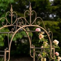 The A Gothic Wrought Iron Rose and Climbing Plant Archway in a Decorative Low Walled Garden Showing a Close up of the Top of the Archway and Finial- Digital Illustration 
