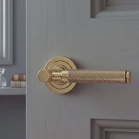 The Aged Brass Knurled Lever on Art Deco Rose Set in a Modern Home Interior on a Grey Door - Digital Illustration 