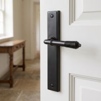 The Aged Bronze Reeded Slimline Lever Espagnolette Door Latch Shown Close up on a Hallway Door - Digital Illustration