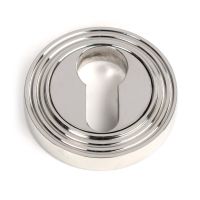The Beehive Concealed Euro Keyhole Escutcheon in Polished Stainless Steel Shown on a White Background