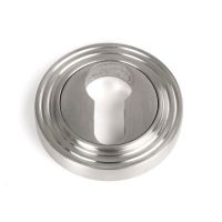 The Beehive Concealed Euro Keyhole Escutcheon in Satin Stainless Steel Shown on a White Background