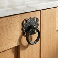 The Black Antique Iron Gothic Style Cabinet Ring Pull Handle Mounted on a Wooden Contemporary Kitchen Cabinet - Digital Illustration