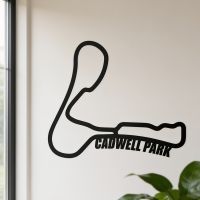 The Cadwell Park Race Track Black Steel Wall Art by a Window and Houseplants in a Modern Home - Digital Illustration The Cadwell Park Race Track Black Steel Wall Art by a Window and Houseplants in a Modern Home - Digital Illustration