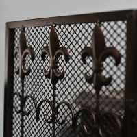 Close-up of the Fleur De Lys Design on the Eing of the Fireguard Close-up of the Fleur De Lys Design on the Eing of the Fireguard