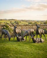 The Estate Collection - Herd of Stag & Doe Sculptures in Cast Aluminium - Set of 6 digital illustration