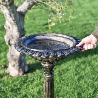 Scale Shot Of Brushed Gold "Floridus" Bird Bath