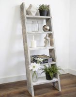 The Grey Wooden Decorative Ladder with a Collection of Keepsakes Displayed in a Living Room Interior - Digital Illustration The Grey Wooden Decorative Ladder with a Collection of Keepsakes Displayed in a Living Room Interior - Digital Illustration