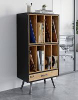 The Large Wood & Metal Retro Filing Cabinet with Drawer Displaying Books and Vinyl Records in a Modern Home - Digital Illustration