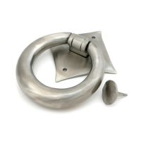 The Lorien Ring Door Knocker in Satin Stainless Steel Shown on a White Background with Striker Plate