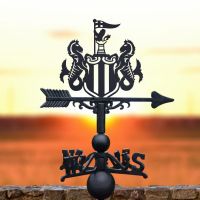 Cast Iron & Steel Weathervane with "The Magpies" Motif