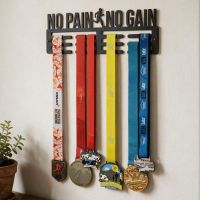 The Male "No Pain No Gain" Sports Medal Hanger  Fitted on a Wall in a Modern Living Room - Digital Illustration