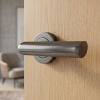 The Modern Curved Round Rose Door Handle in Graphite Grey on a Wooden Door in a Modern Home - Digital Illustration 