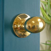 The Polished Brass Oval Door Knob Set on a Teal Coloured Interior Door - Digital Illustration The Polished Brass Oval Door Knob Set on a Teal Coloured Interior Door - Digital Illustration