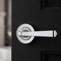 The Polished Chrome Tapered Lever on Plain Rose Set on a Jet Black Timber Door in a contemporary home - Digital Illustration