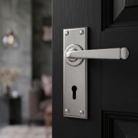 The Sleek Architectural Lever Lock Door Handle Set on Plain Backplate  in Satin Stainless Steel on a Black Door in a Modern Country Home - Digital Illustration