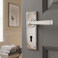 The Sleek Architectural Lever Lock Door Handle Set on Plain Backplate Polished Stainless Steel in a Modern Reading Room in a Contemporary Home - Digital Illustration 