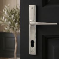 The Slimline Espag Lever Door Handle in Satin Stainless Steel on a Black Door in a Home Hallway - Digital Illustration