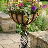 The "Stretton" Victorian Wrought Iron Basket Planter Stand in a Black Finish Showing a Close up of the Detailed and Decorative Spiral Scrollwork of the Top Half of the Planter - Digital Illustration 