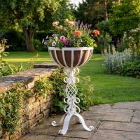 The "Stretton" Victorian Wrought Iron Basket Planter Stand in a White Finish Positioned in a Low Walled Private Garden with Flowers Planted - Digital Illustration 