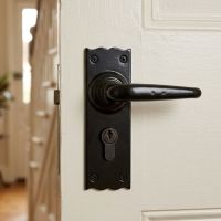 The Traditional Black Lever Euro Lock Door Handle Set on a Cream Coloured Door in an Entrance Hallway - Digital Illustration The Traditional Black Lever Euro Lock Door Handle Set on a Cream Coloured Door in an Entrance Hallway - Digital Illustration