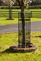 “Titan” Tree Guards - Silver “Titan” Tree Guards - Silver