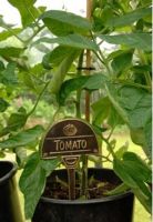 Vegetable Signs - Selection