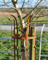 Wrought Iron "Sandridge" Rustic Tree Guard Top Details