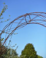 Close-up of the Rustci Design on the Top of the Rose Arch Close-up of the Rustci Design on the Top of the Rose Arch