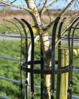 Close up Of The Wrought Iron Black Tree Guard