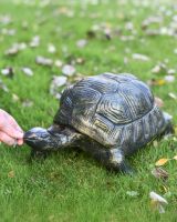 Tortoise garden sculpture scale