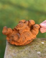 Rustic Cast Iron Tortoise With Baby Scale Shot 